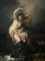 Die Meerjungfrau von Galloway